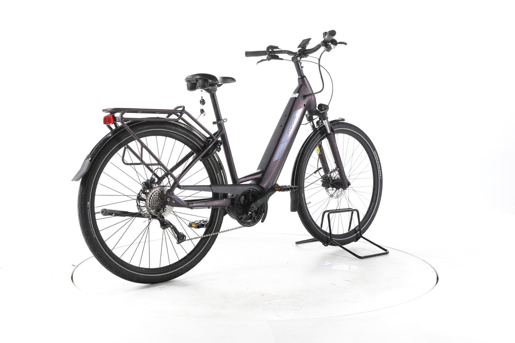 Pegasus Solero Evo 9 Trekking E-Bike Tiefeinsteiger 2024 - Image 12