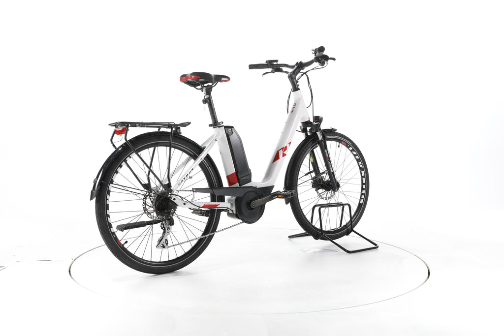 R Raymon CityRay E 1.0 Trekking E-Bike Tiefeinsteiger - Image 12