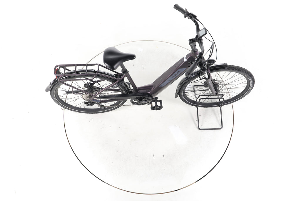 Pegasus Solero Evo 9 Trekking E-Bike Tiefeinsteiger 2024 - Image 13