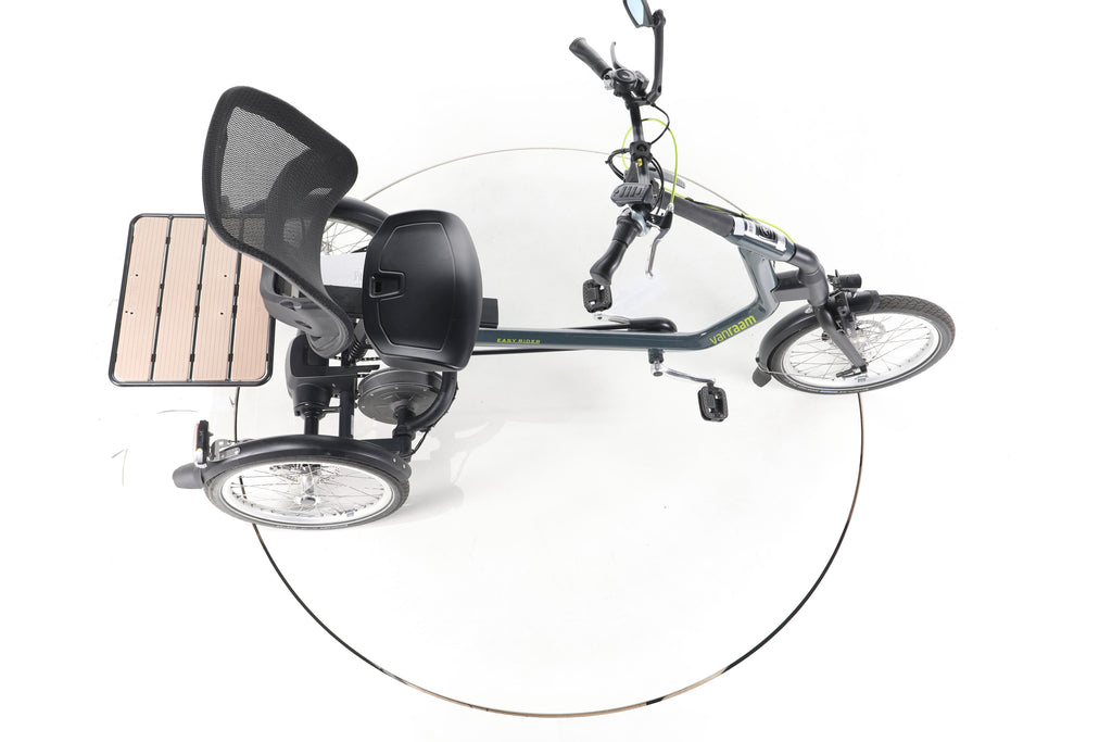 Van Raam Easy Rider 3 E-Lastenrad - Image 13