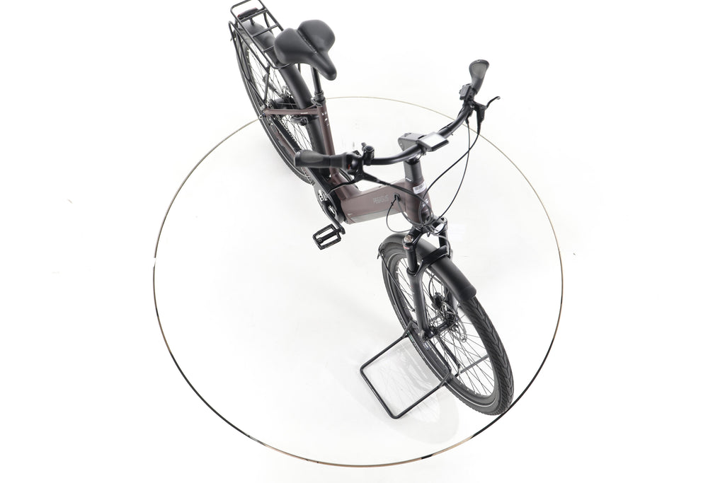 Pegasus Strong EVO 5R City E-Bike Tiefeinsteiger - Image 15