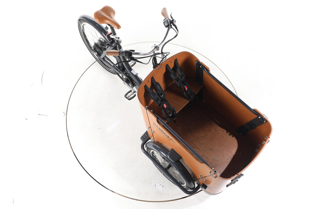 Babboe Go Mountain E-Lastenrad - Image 15