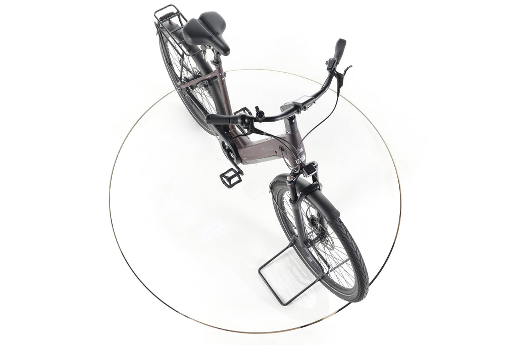 Pegasus Strong EVO 5R City E-Bike Tiefeinsteiger 2024 - Image 15