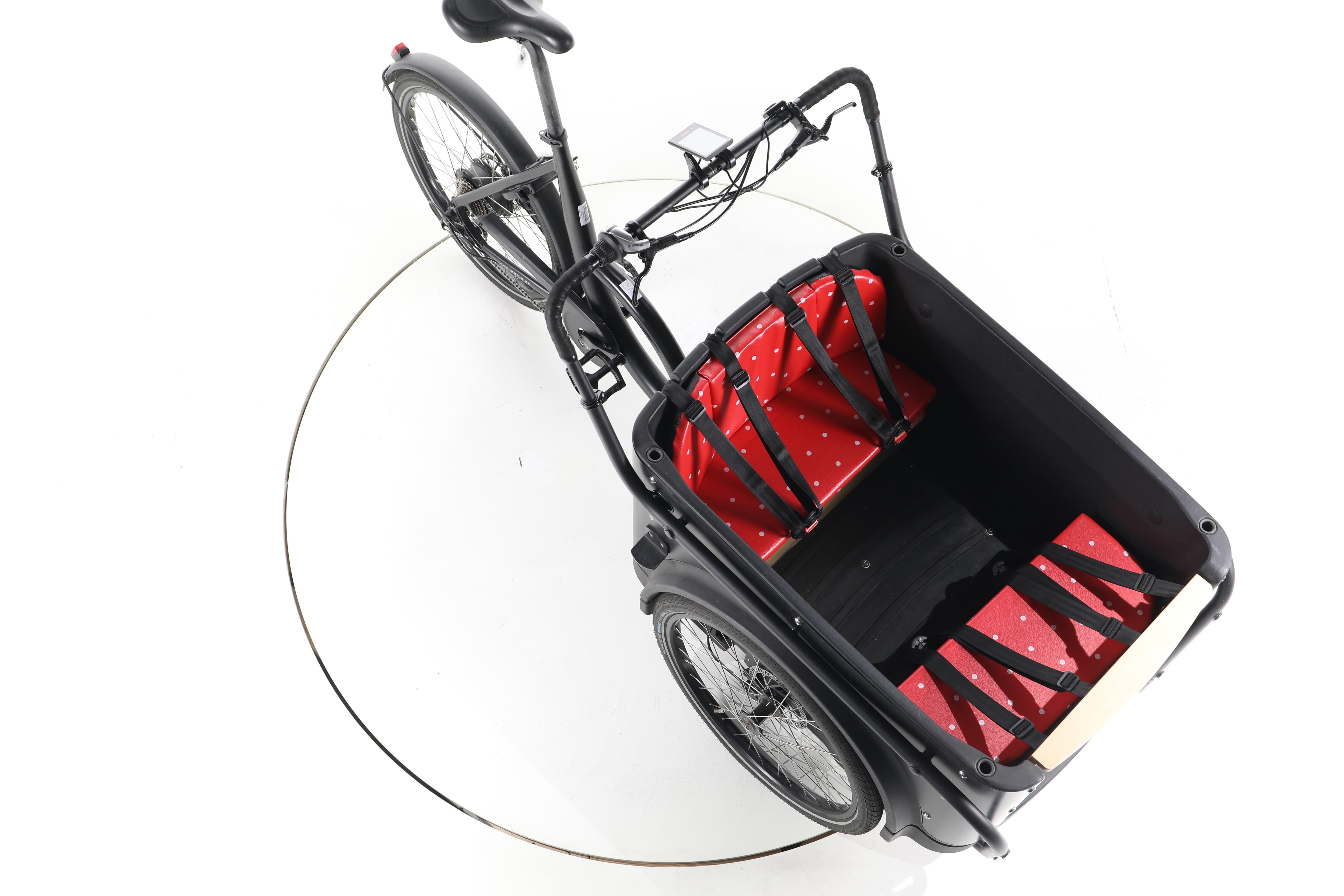 BBF eCargorider 3.1 - Image 15