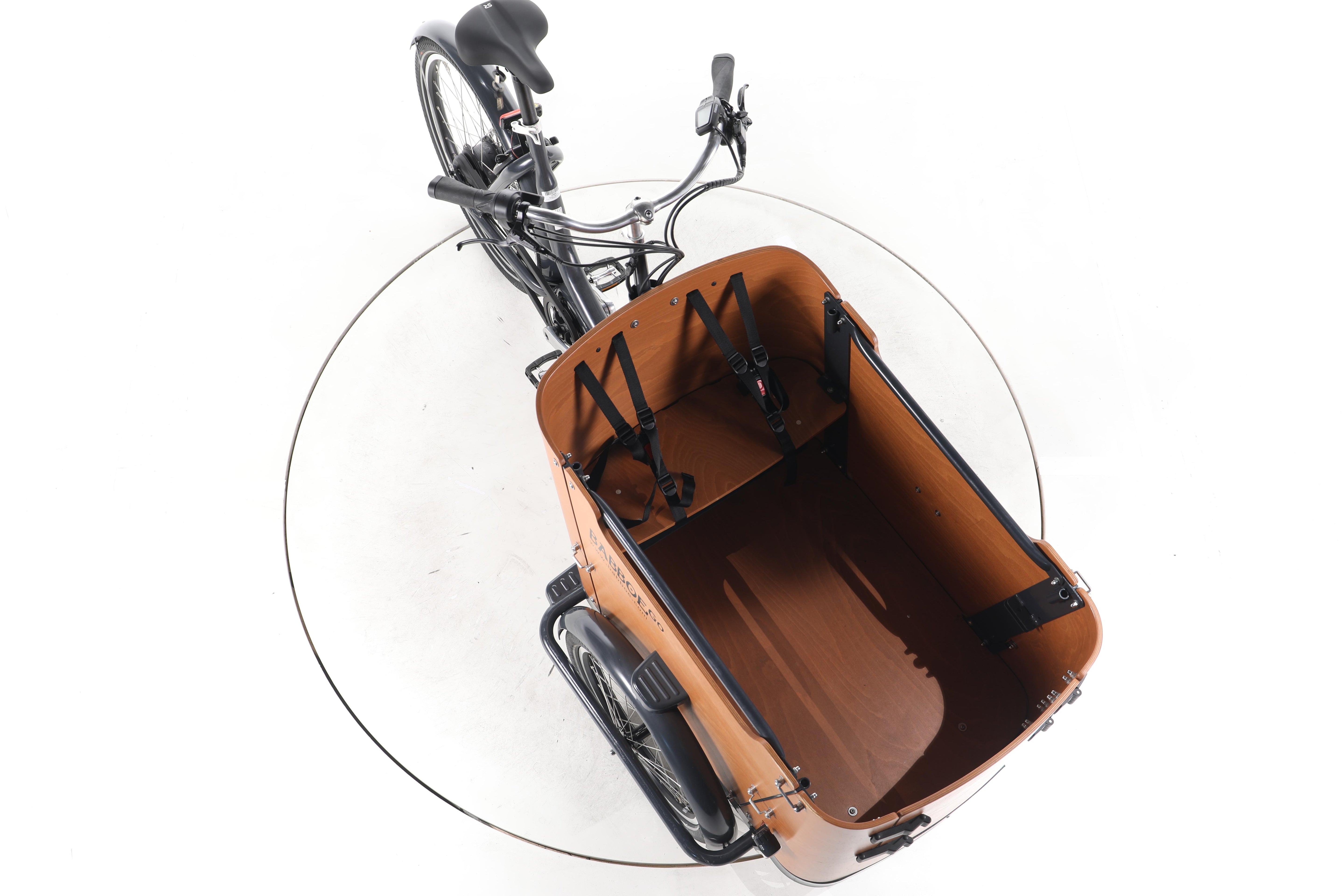 Babboe Go Mountain E-Lastenrad - Image 15