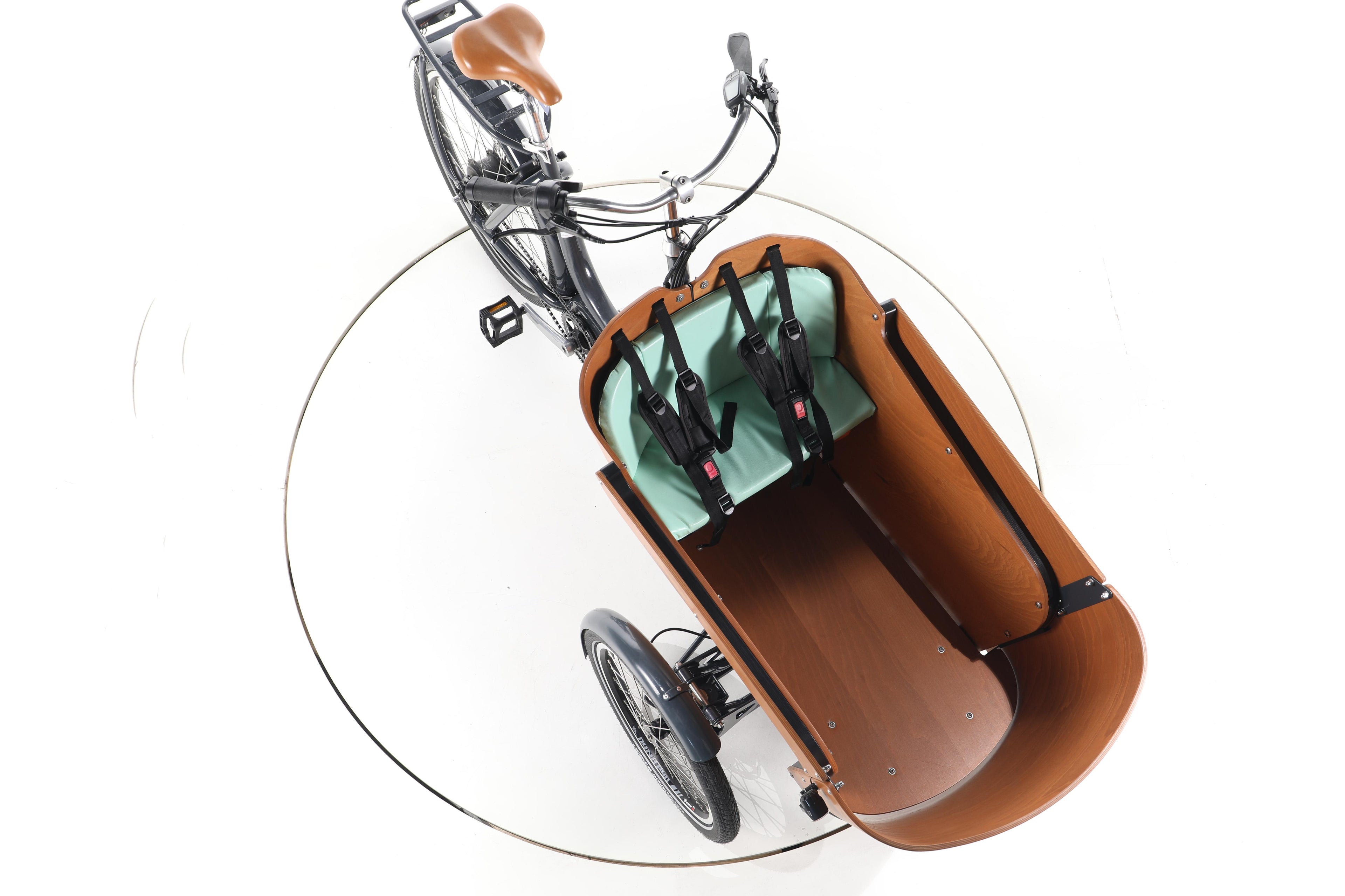 Babboe Flow Mountain - Image 15