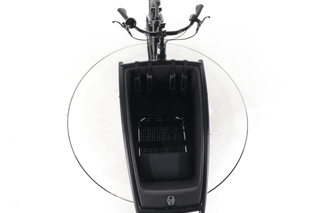 Urban Arrow Family Performance Plus E-Lastenrad - Image 16