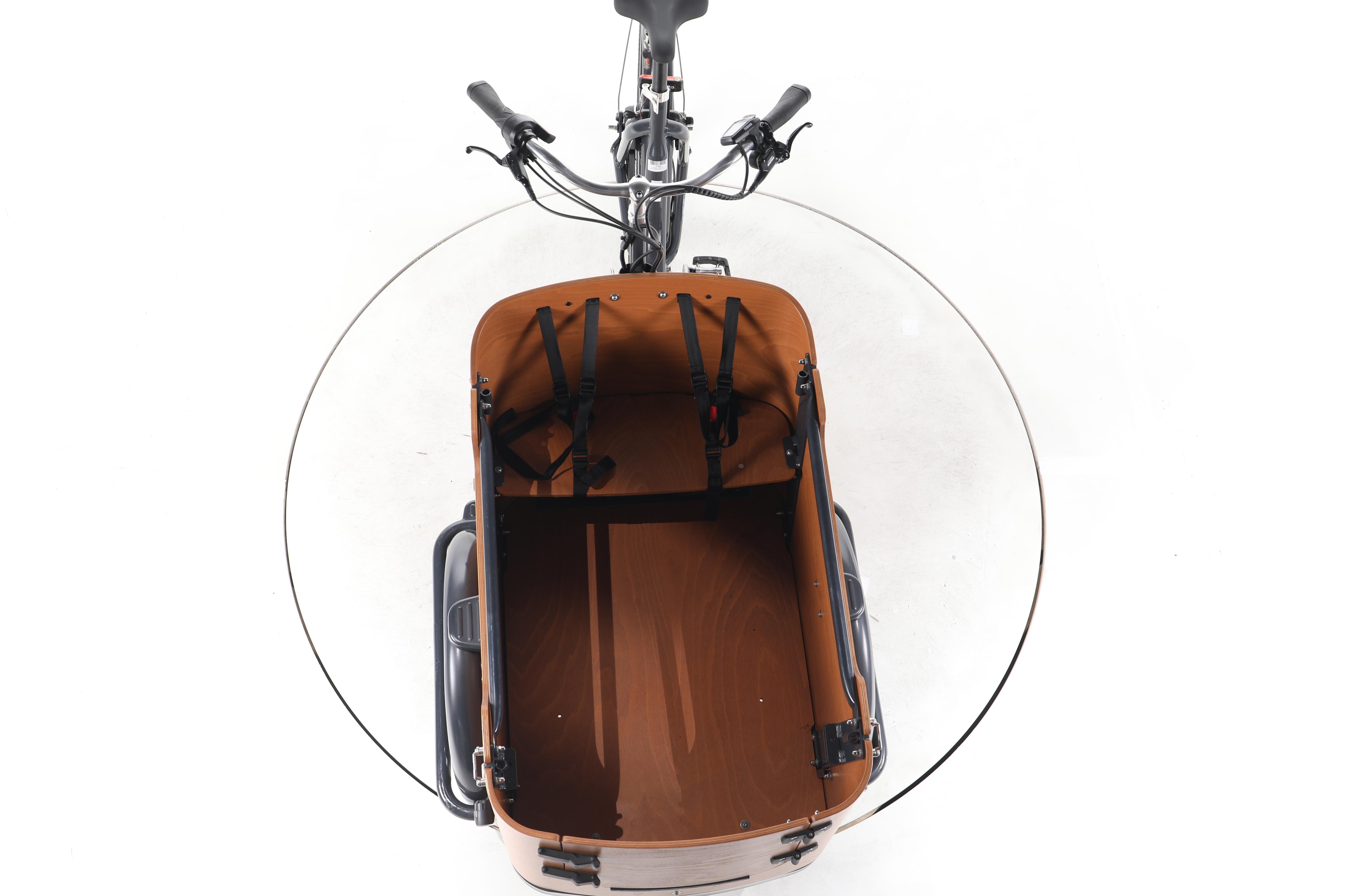 Babboe Go Mountain E-Lastenrad - Image 16