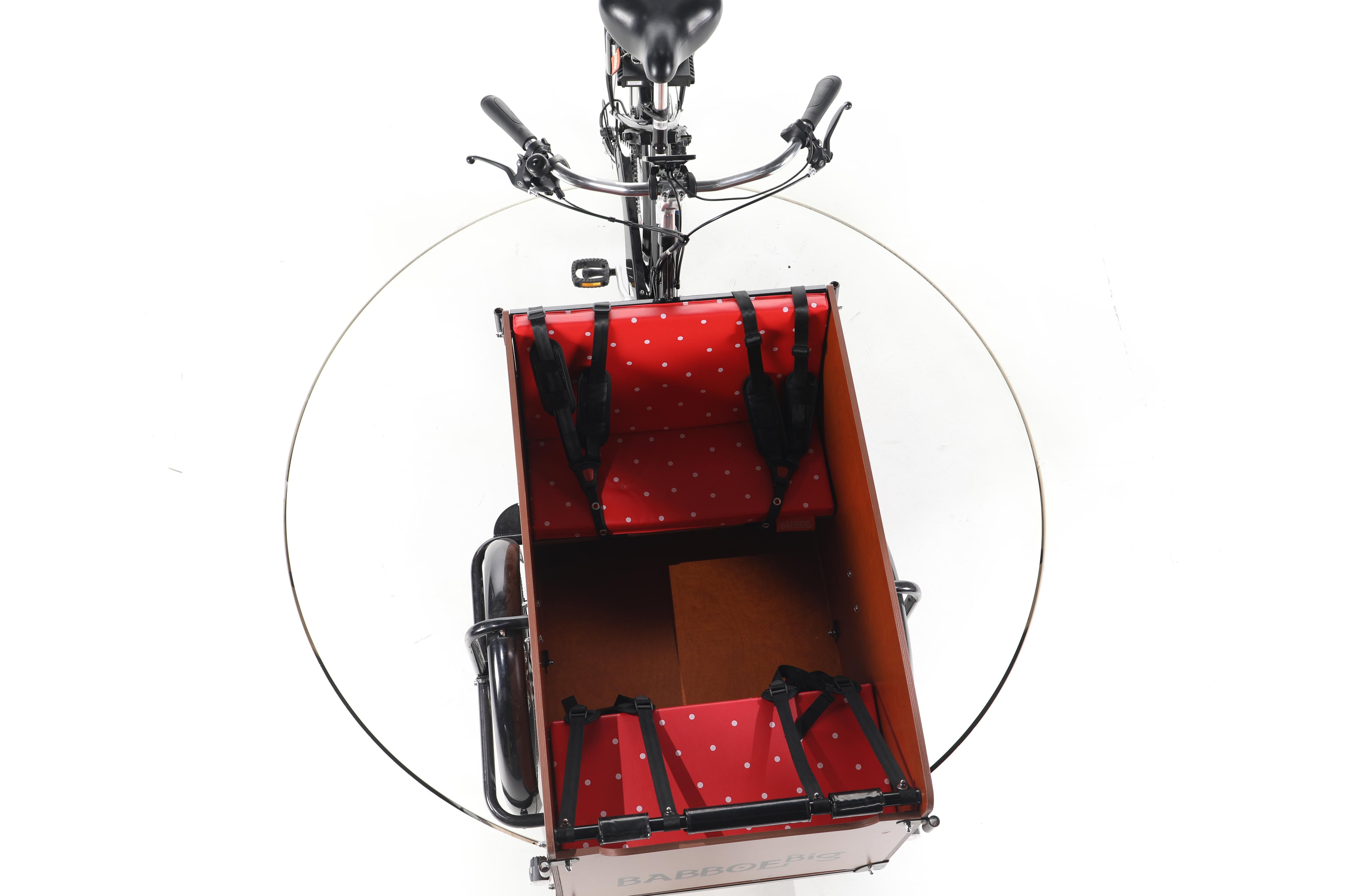 Babboe Big-E - Image 16