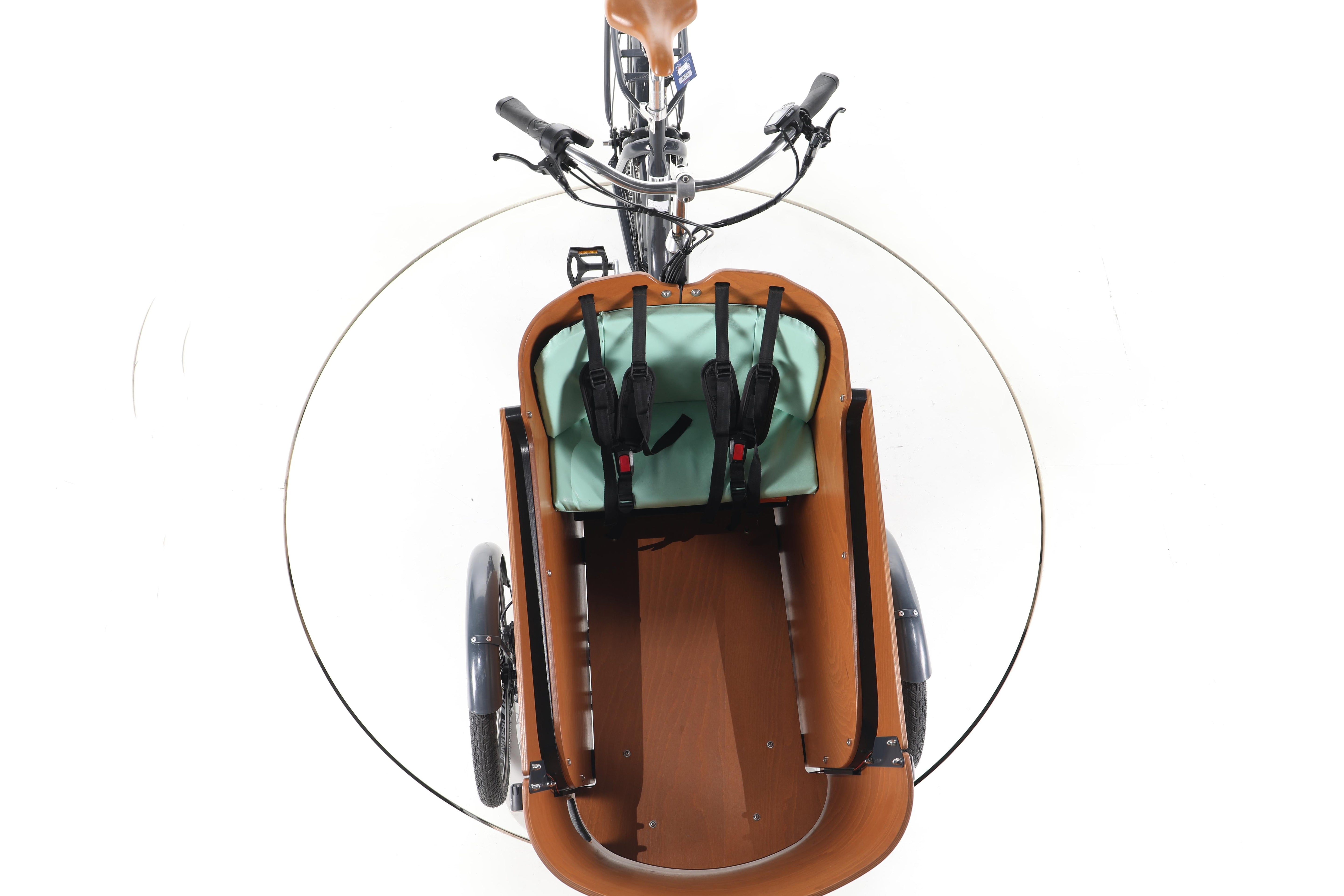 Babboe Flow Mountain - Image 16