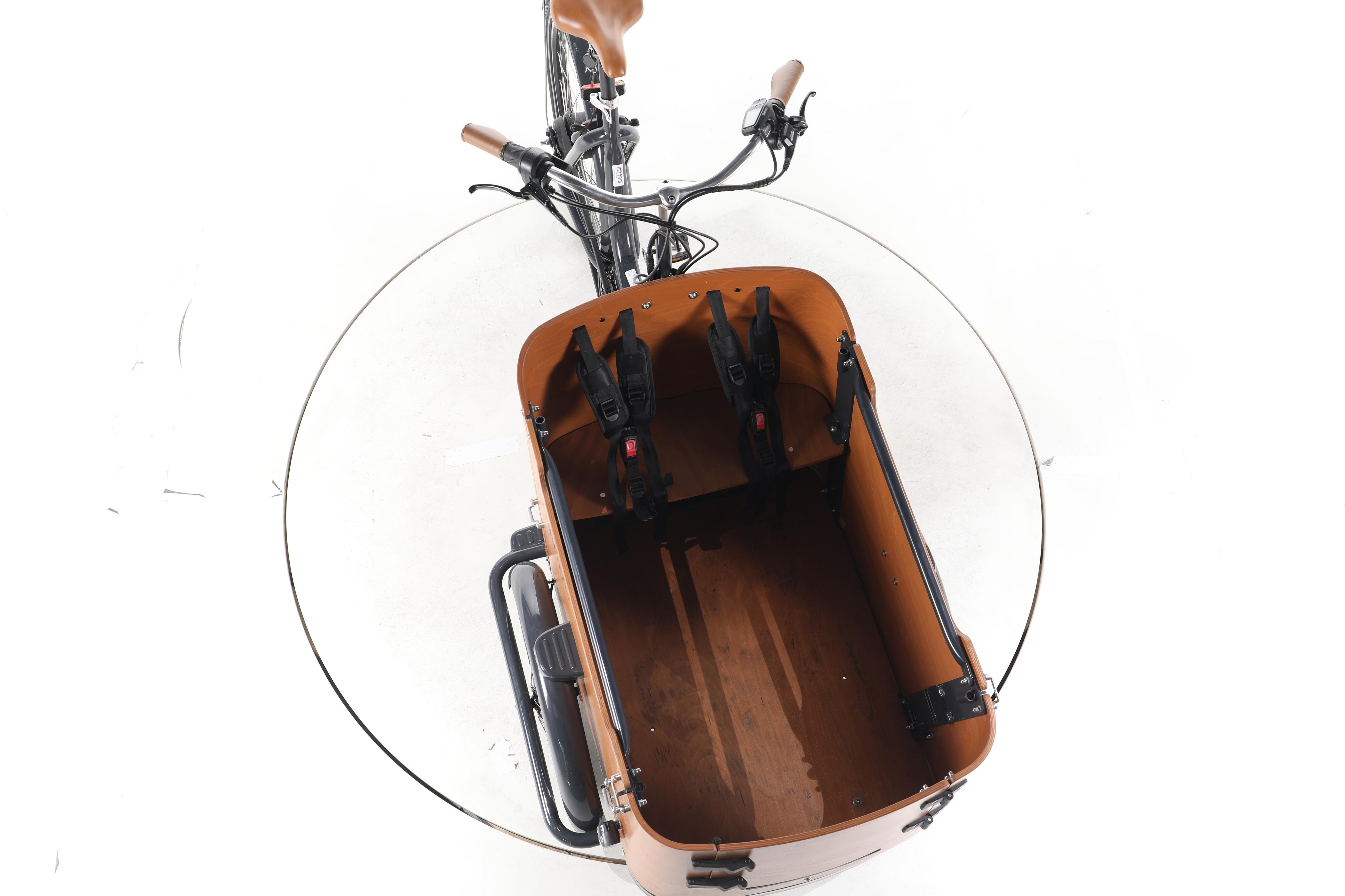 Babboe Go Mountain E-Lastenrad - Image 16