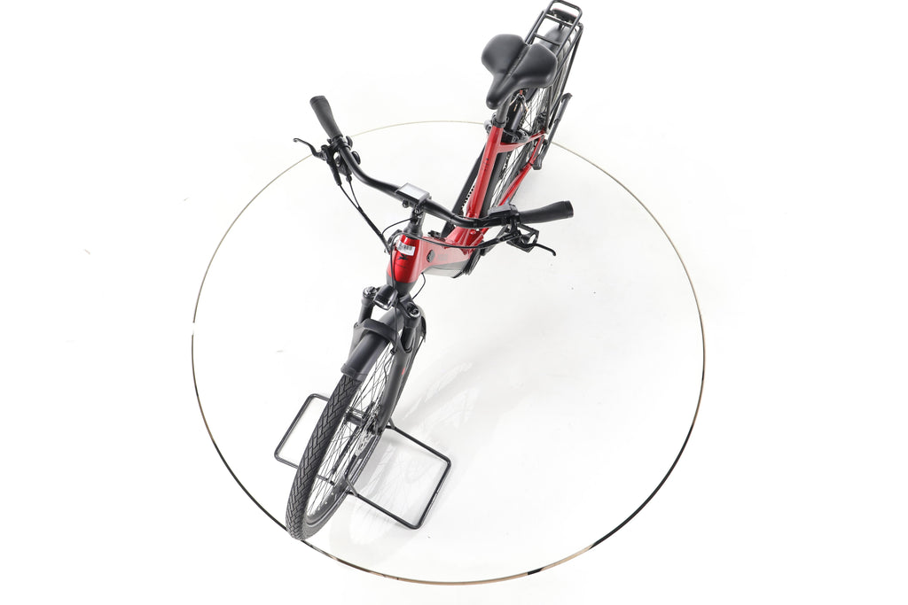 Pegasus Premio Evo 10 Lite Trekking E-Bike Tiefeinsteiger - Image 17