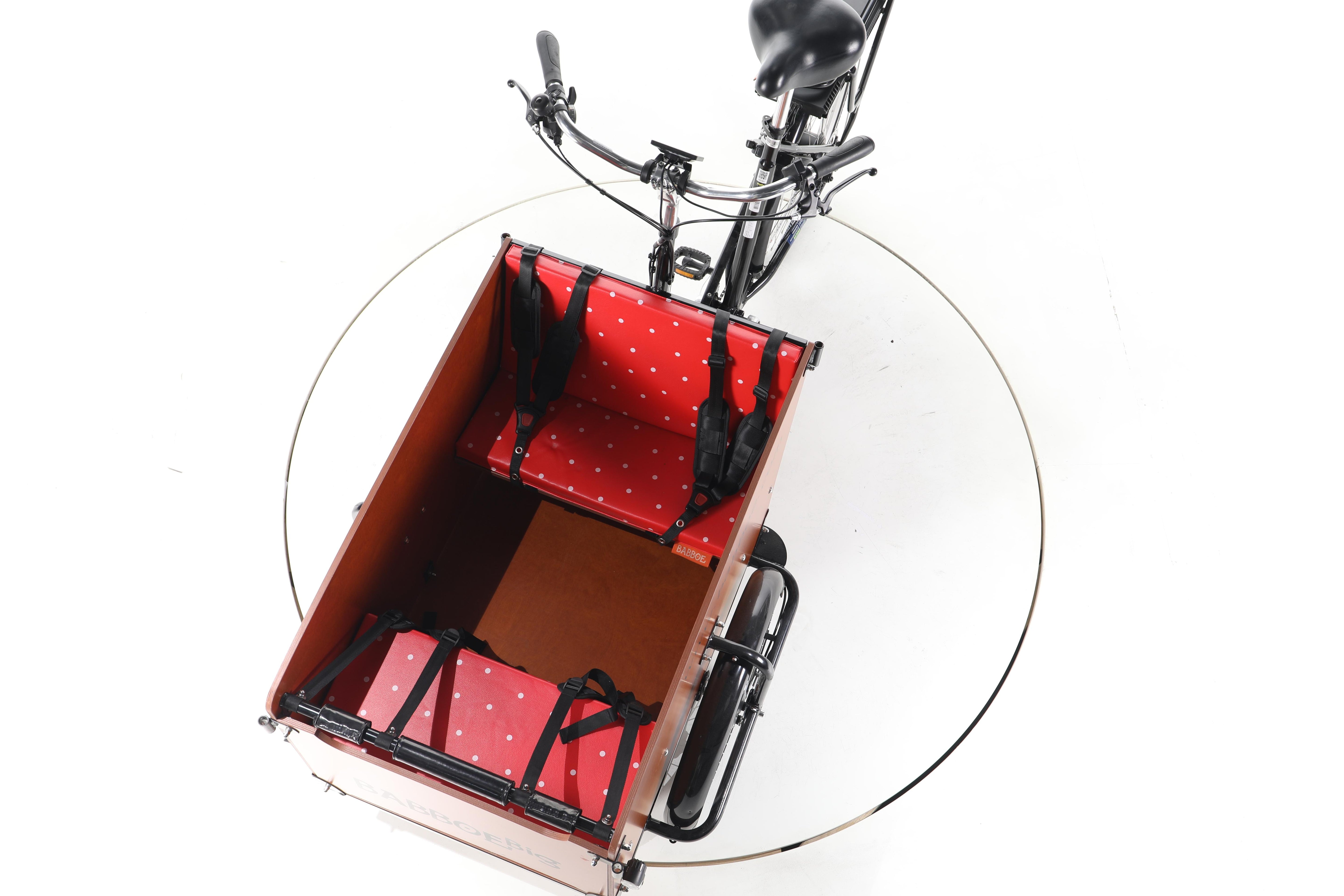 Babboe Big-E - Image 17