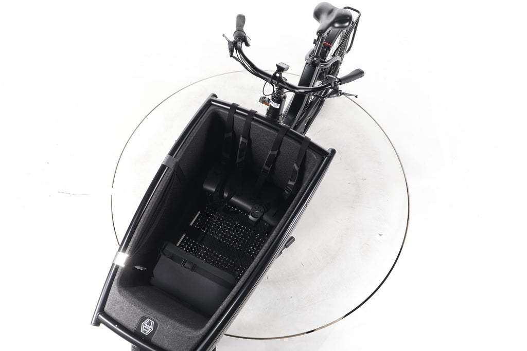 Urban Arrow Family Cargo Line E-Lastenrad - Image 17