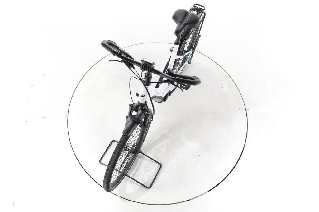 Pegasus Premio Evo Comfort Trekking E-Bike Tiefeinsteiger - Image 17