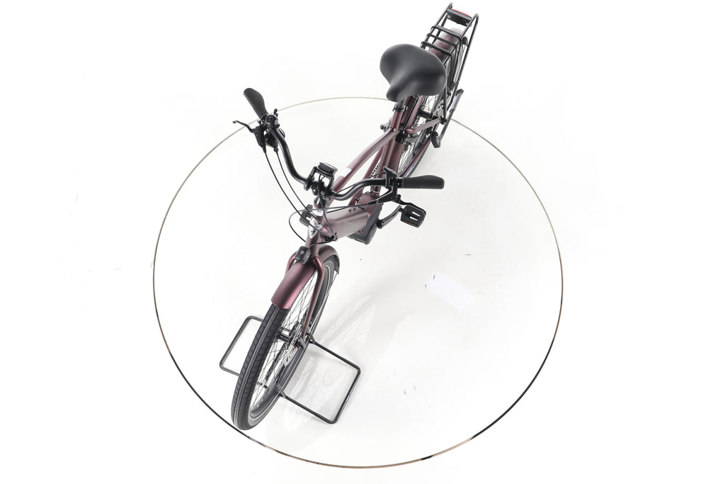 Electra Bicycle Townie Path Go! 10 EQ Trekking E-Bike - Image 17