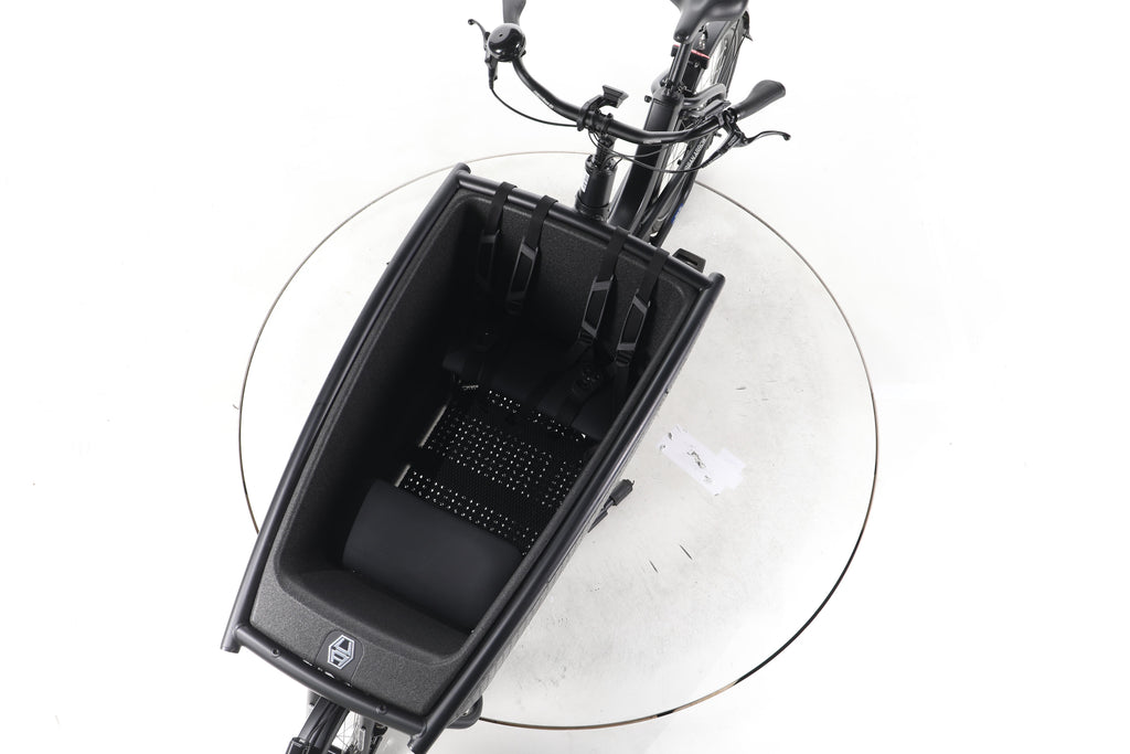 Urban Arrow Family Performance Plus E-Lastenrad - Image 17