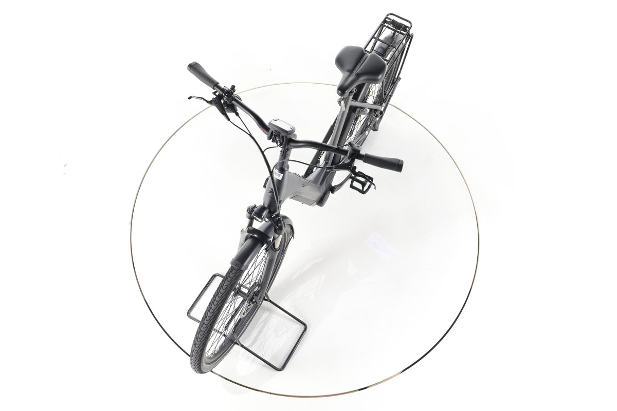 Pegasus Strong EVO 10 Trekking E-Bike Tiefeinsteiger - Image 17