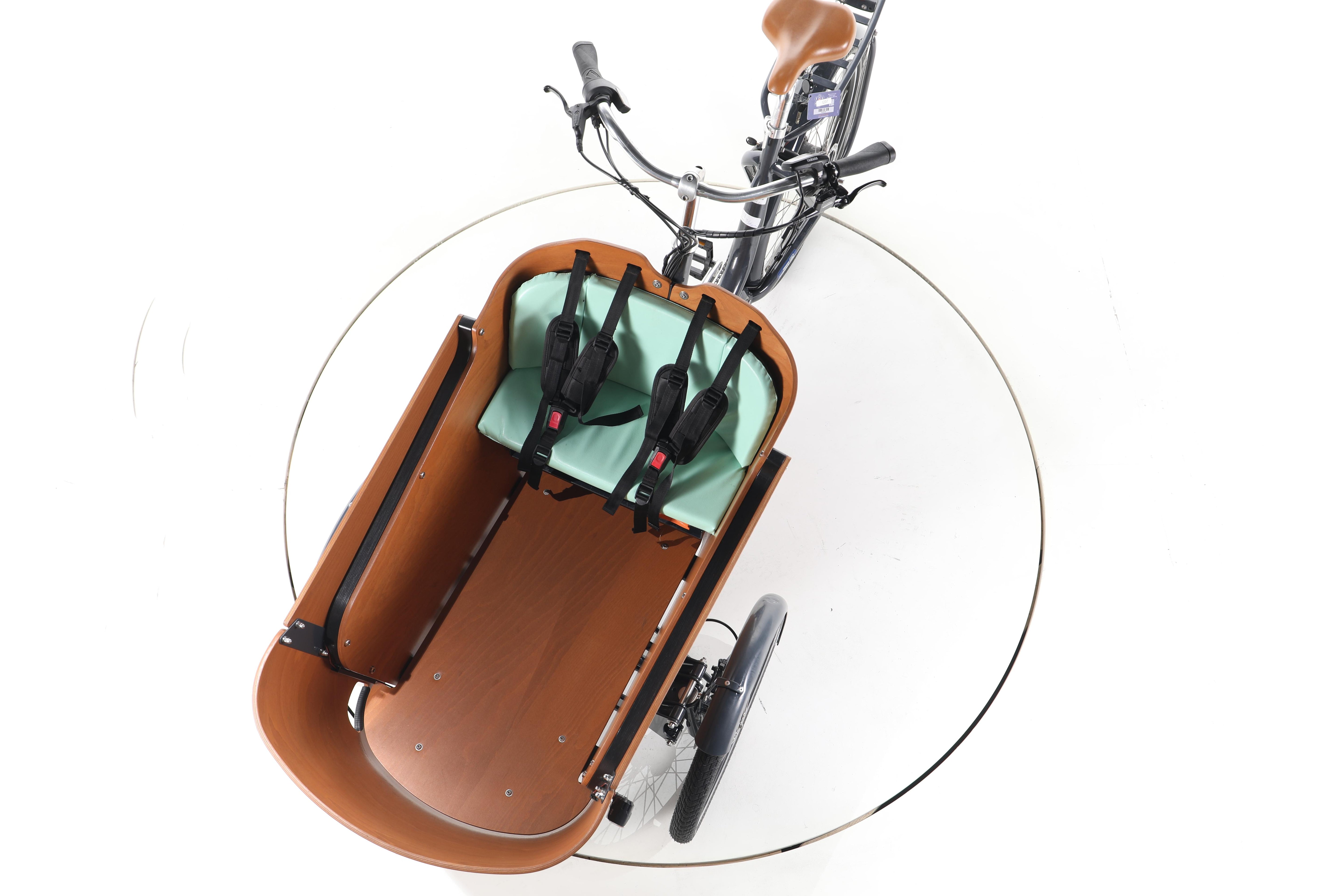 Babboe Flow Mountain - Image 17