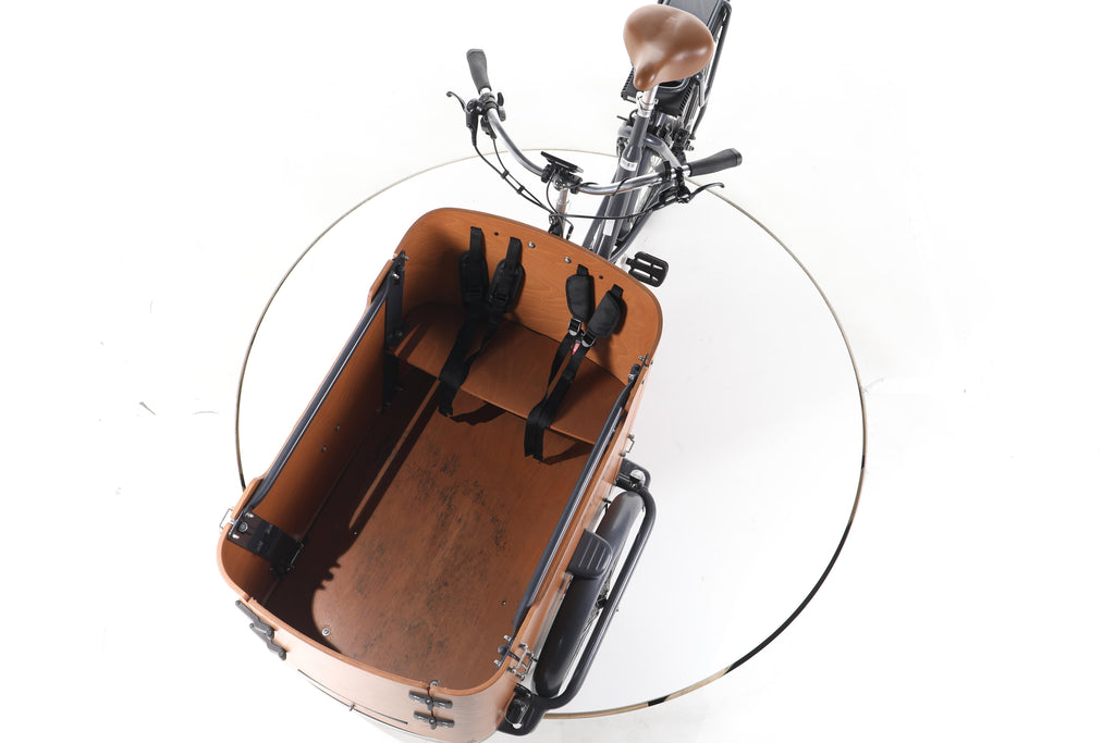 Babboe Go-E E-Lastenrad - Image 17