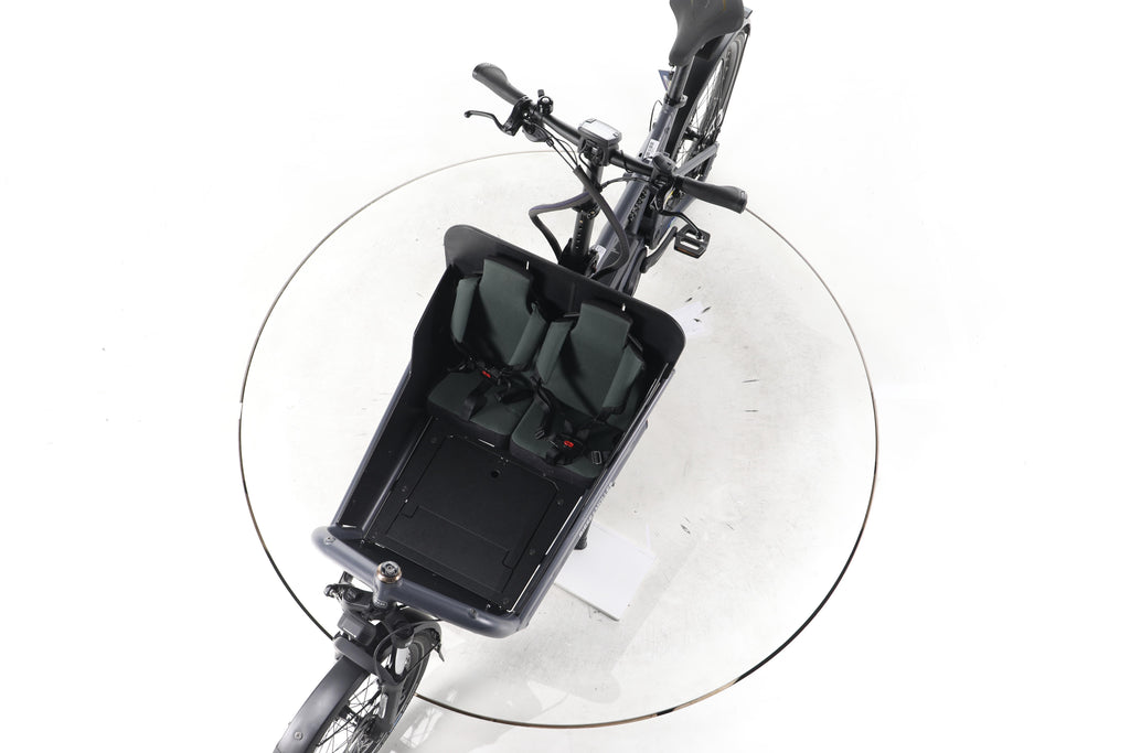Riese & Müller Load 60 E-Lastenrad - Image 17