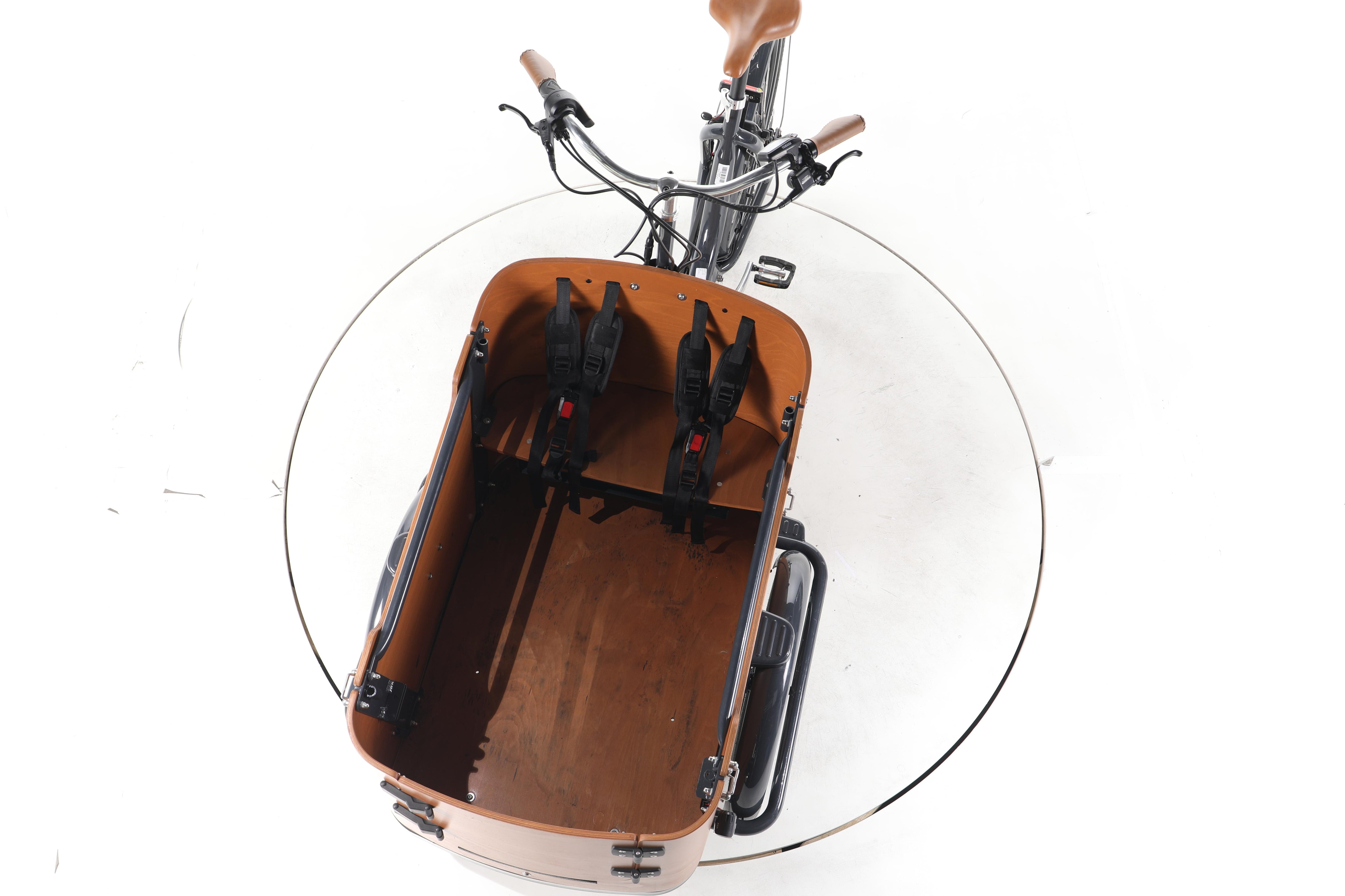 Babboe Go Mountain E-Lastenrad - Image 17
