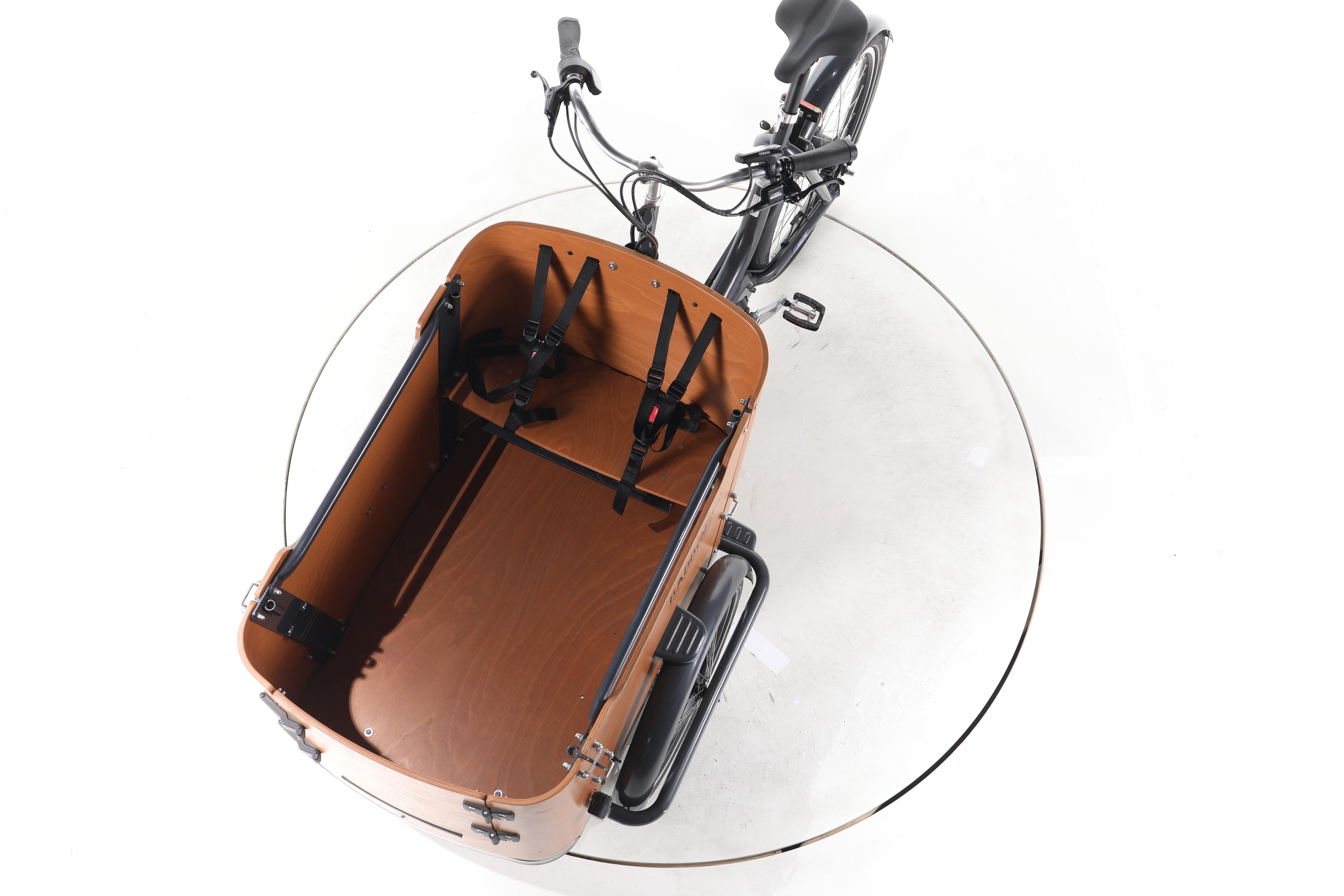 Babboe Go Mountain E-Lastenrad - Image 17