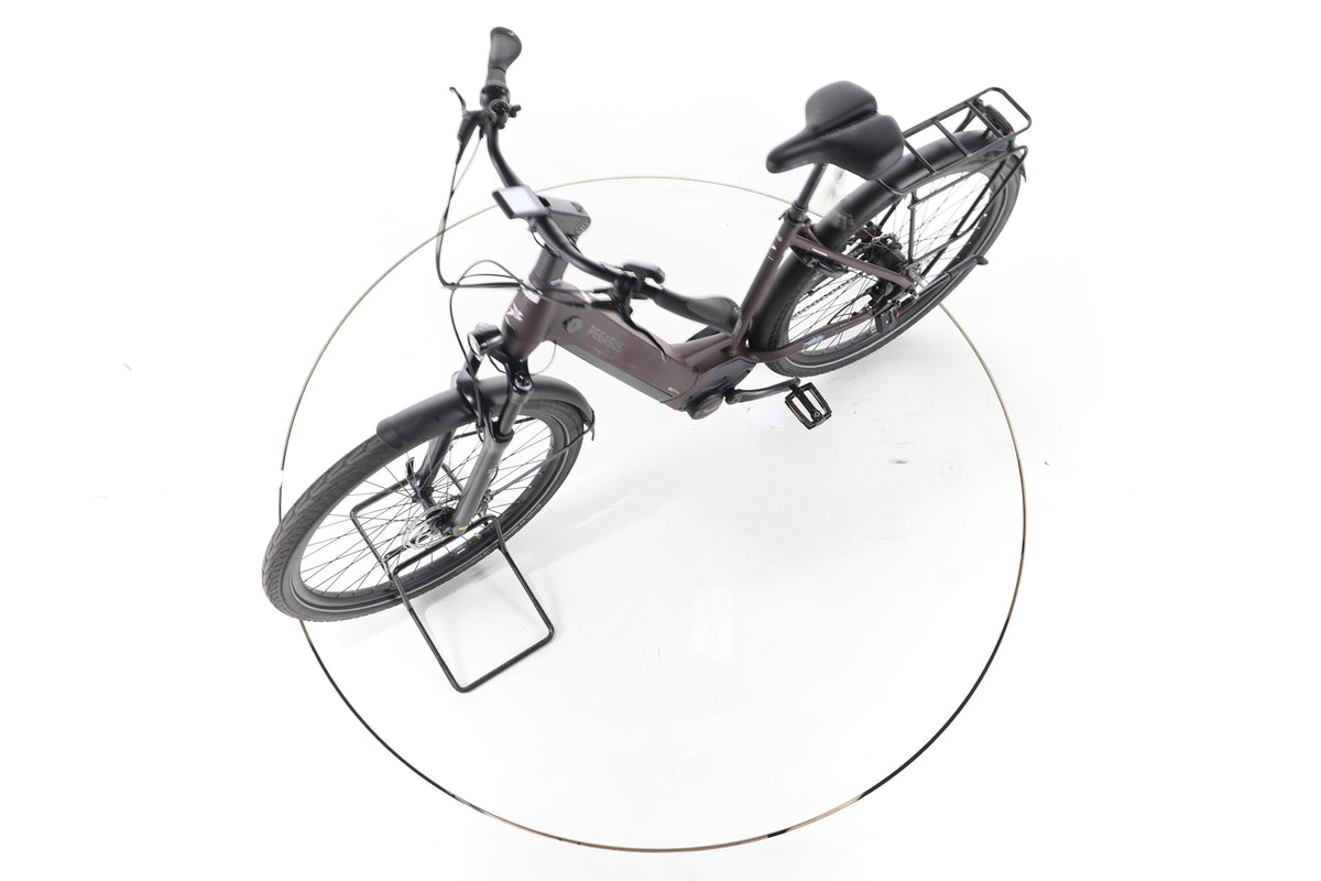 Pegasus Strong EVO 5R City E-Bike Tiefeinsteiger - Image 18