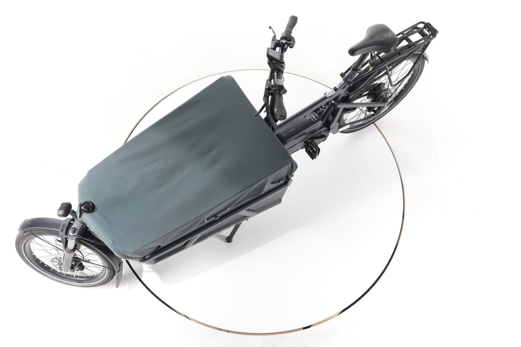 Riese & Müller Load 75 vario E-Lastenrad - Image 18