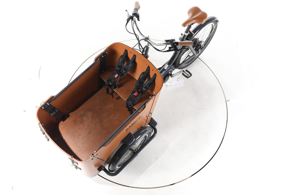 Babboe Go Mountain E-Lastenrad - Image 18
