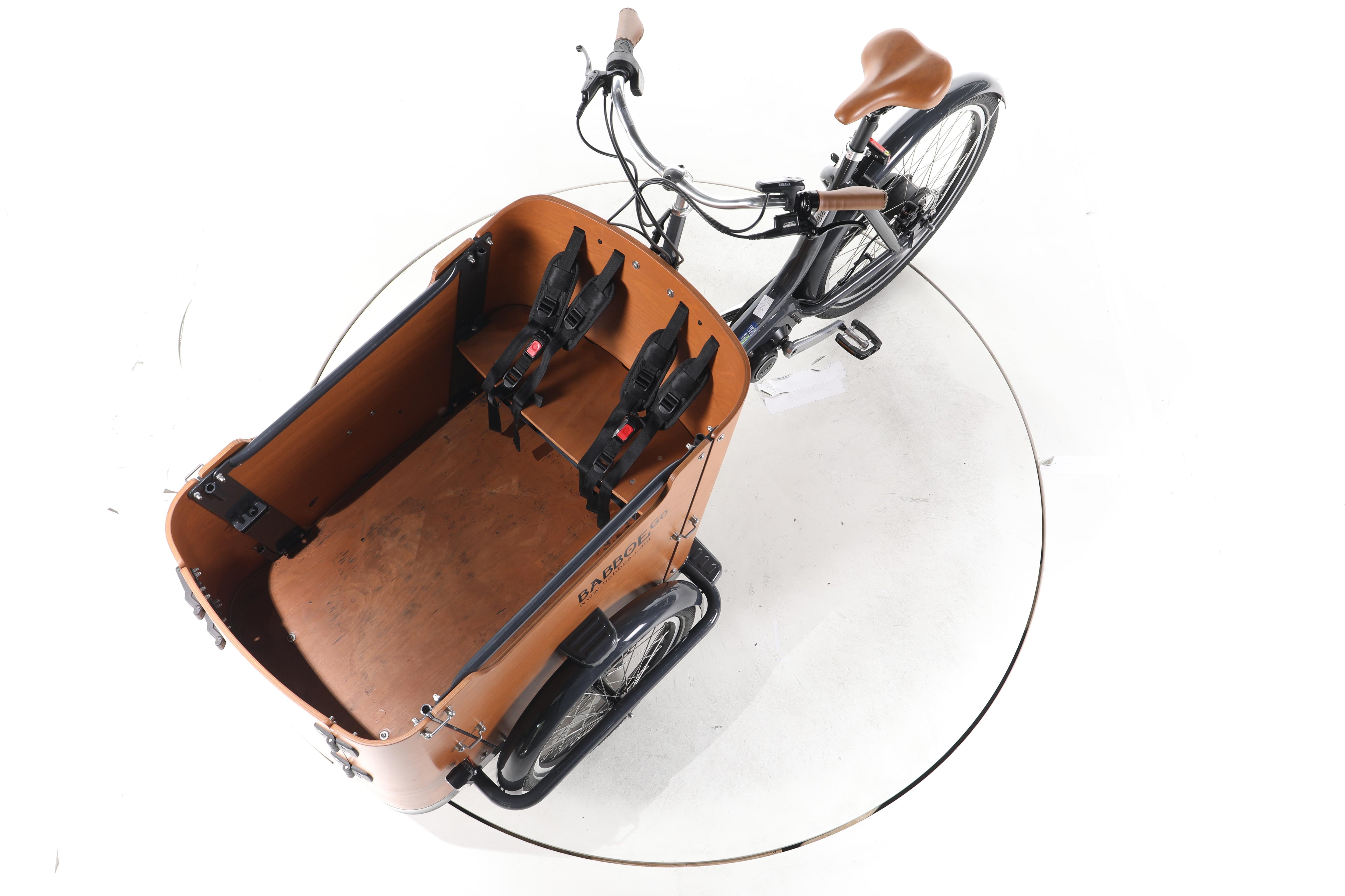 Babboe Go Mountain E-Lastenrad - Image 18