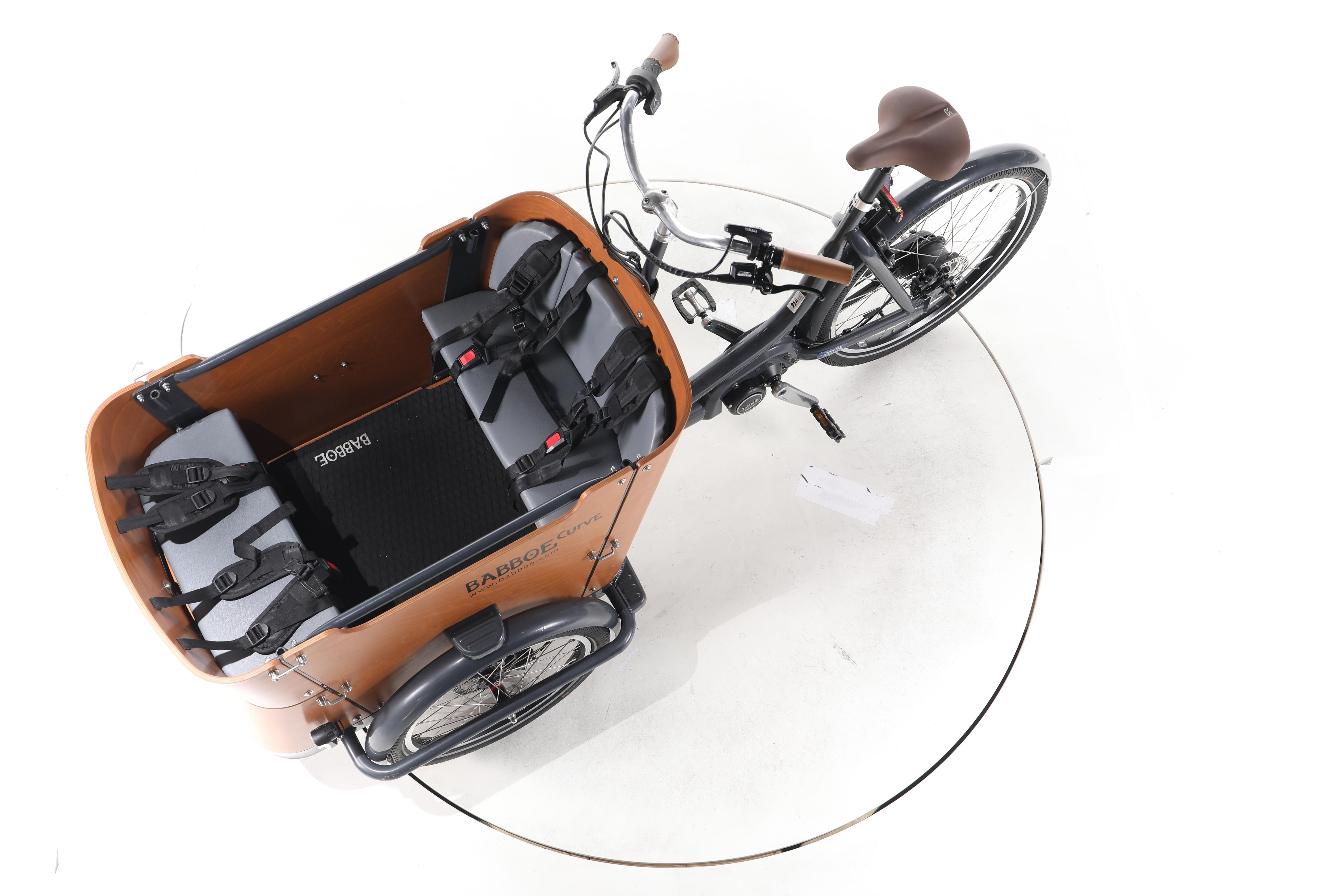 Babboe Curve Mountain E-Lastenrad - Image 18