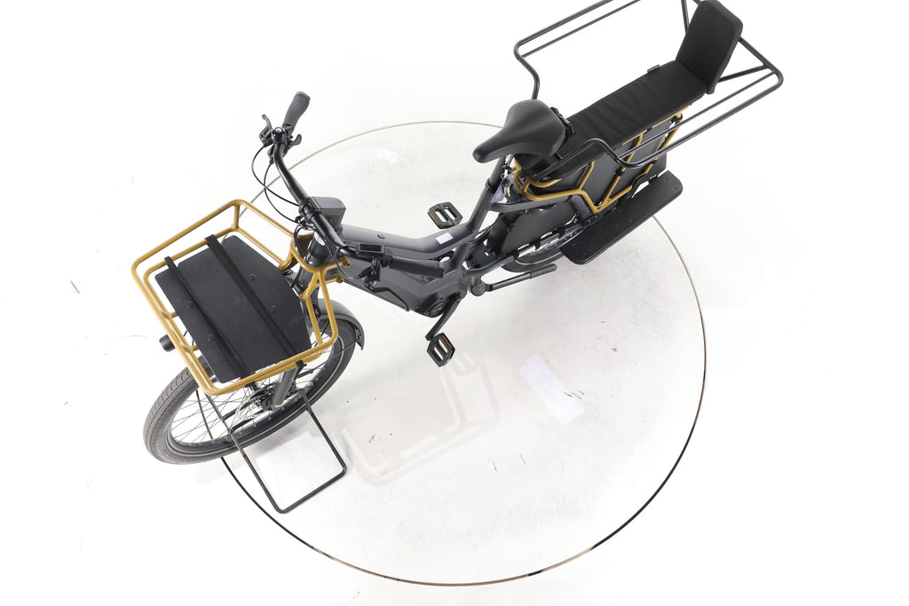 Riese & Müller Multicharger3 Mixte FAMILY E-Lastenrad - Image 18