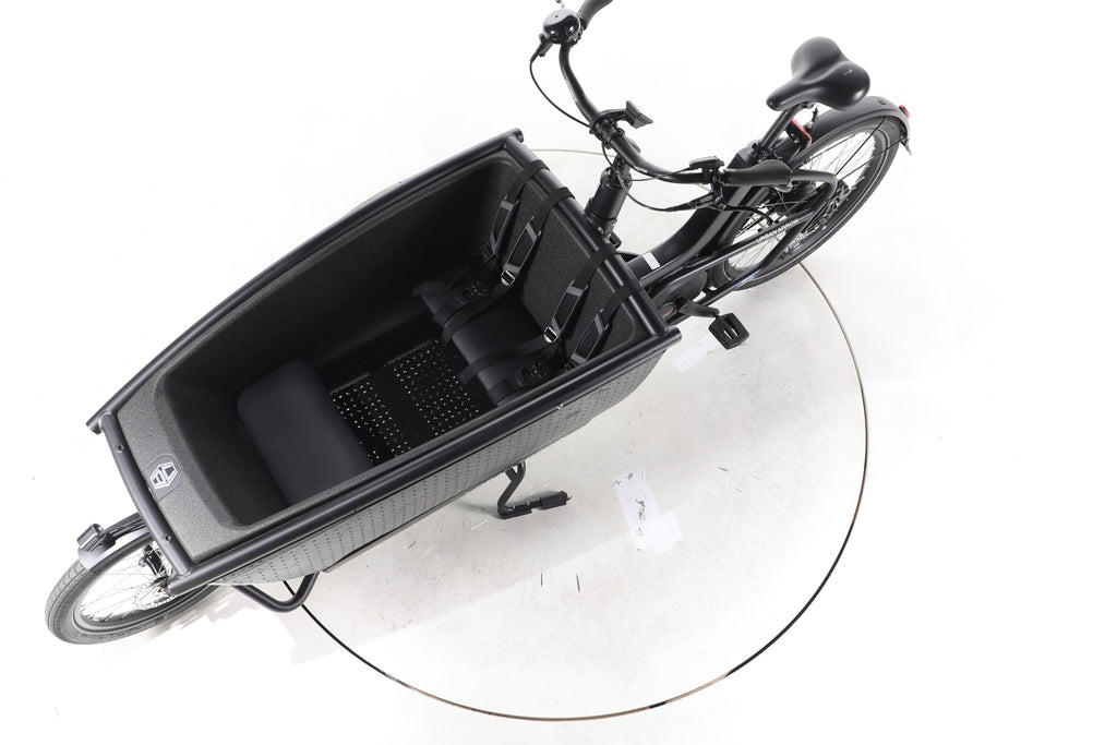 Urban Arrow Family Performance Plus E-Lastenrad - Image 18