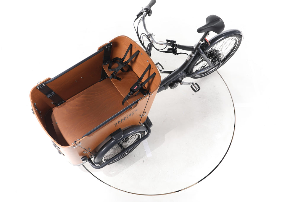 Babboe Go Mountain E-Lastenrad - Image 18