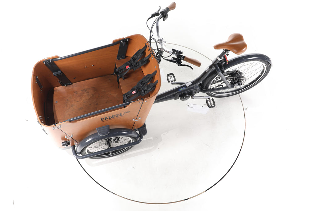 Babboe Go Mountain E-Lastenrad - Image 19