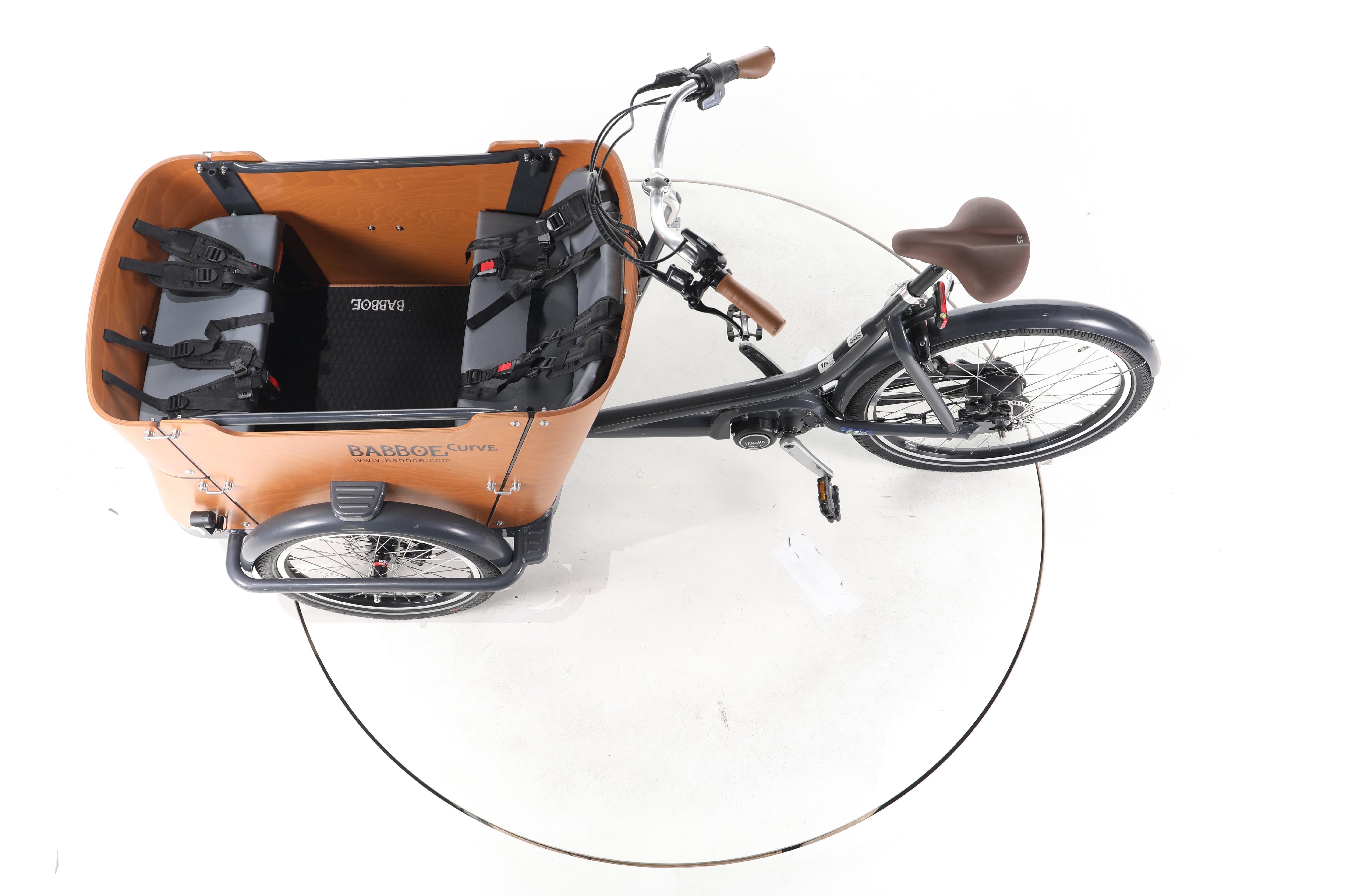 Babboe Curve Mountain E-Lastenrad - Image 19