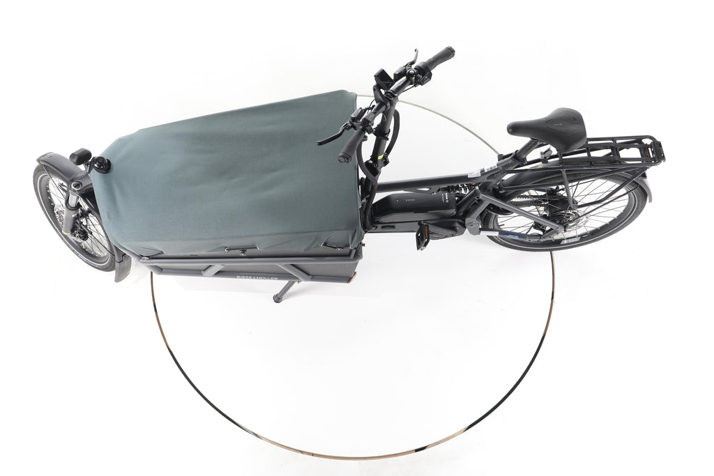 Riese & Müller Load 75 vario E-Lastenrad - Image 19