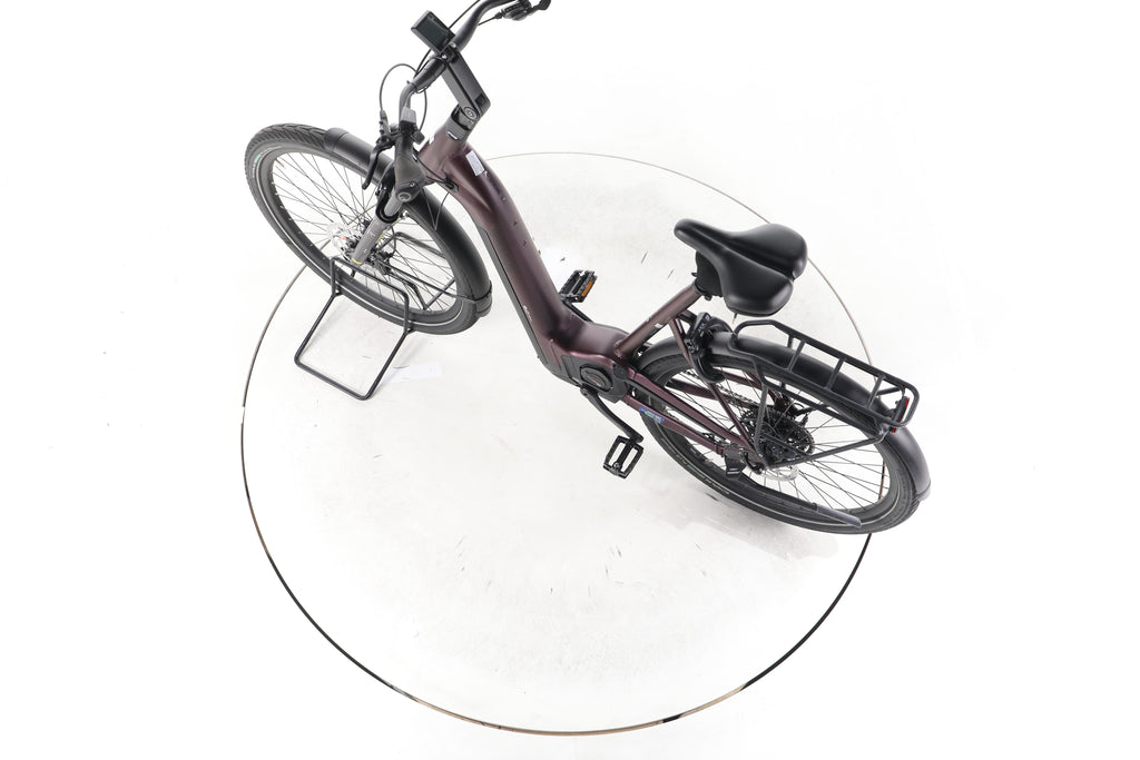 Pegasus Strong Evo 10 Lite Trekking E-Bike Tiefeinsteiger 2024 - Image 20