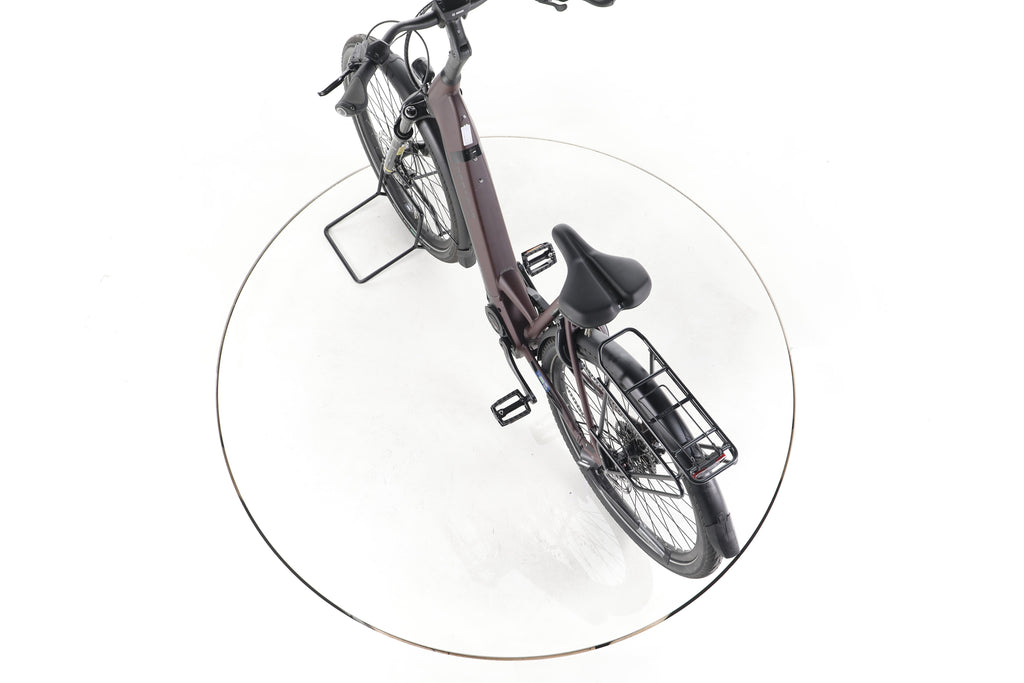 Pegasus Strong EVO 10 Lite Trekking E-Bike Tiefeinsteiger - Image 21