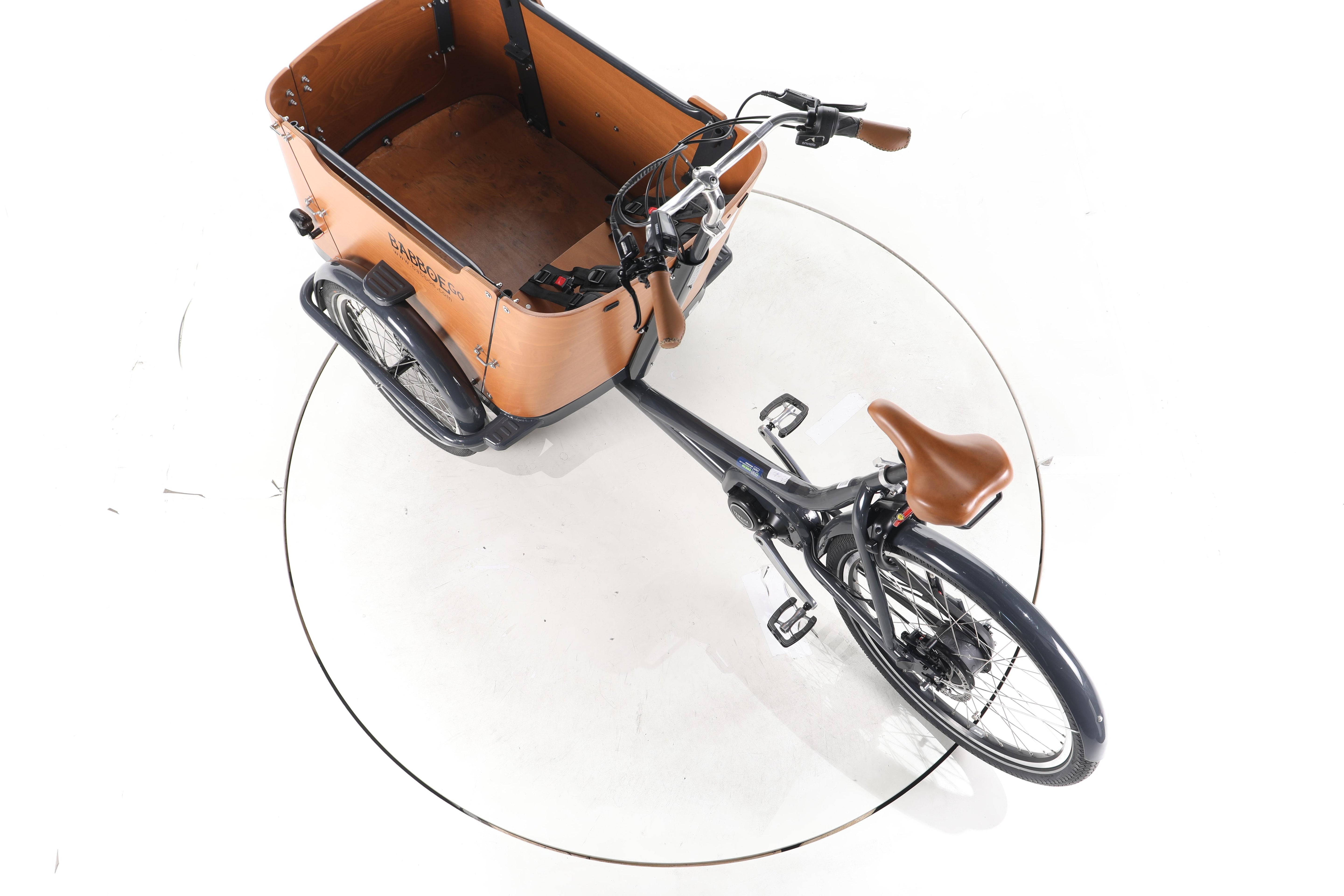 Babboe Go Mountain E-Lastenrad - Image 21