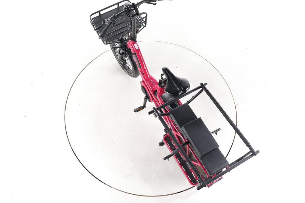 Tern GSD S10 E-Lastenrad - Image 21