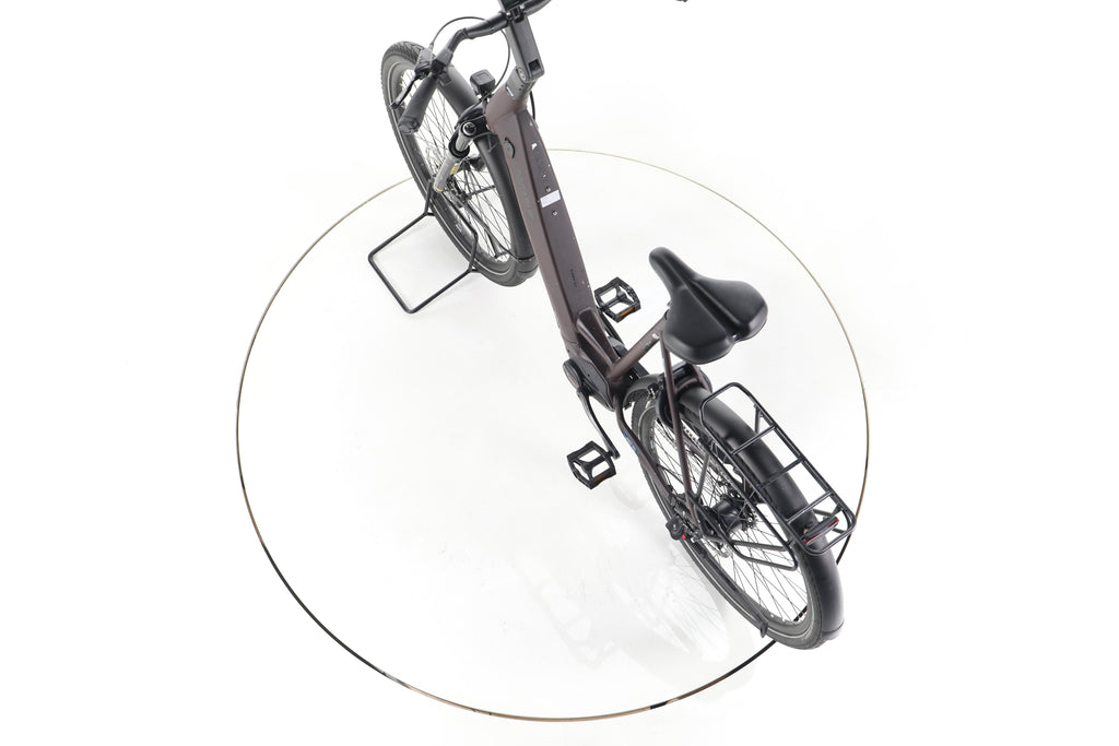 Pegasus Strong EVO 5R City E-Bike Tiefeinsteiger 2024 - Image 21