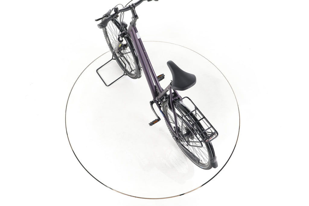 Pegasus Savona SL Disc 24 Fahrrad City & Trekking - Image 21