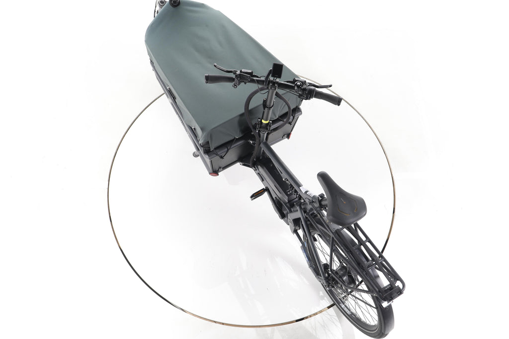 Riese & Müller Load 75 vario E-Lastenrad - Image 21