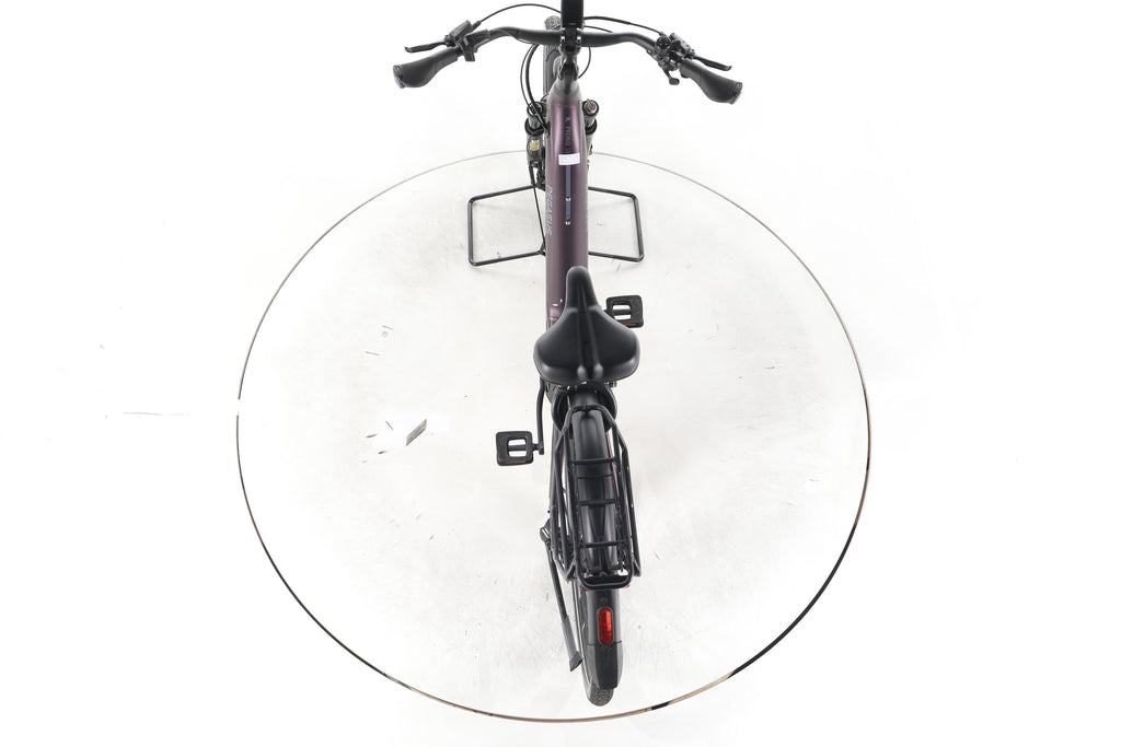 Pegasus Premio EVO 11 "40 Years" Trekking E-Bike Tiefeinsteiger - Image 22