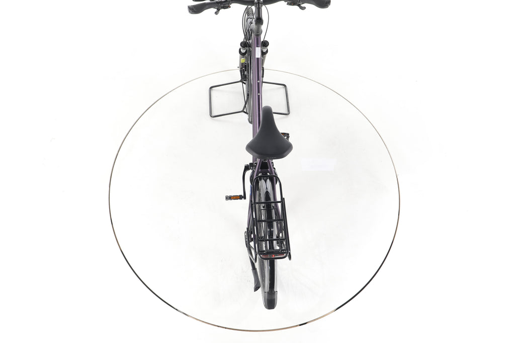 Pegasus Savona SL Disc 24 Fahrrad City & Trekking - Image 22