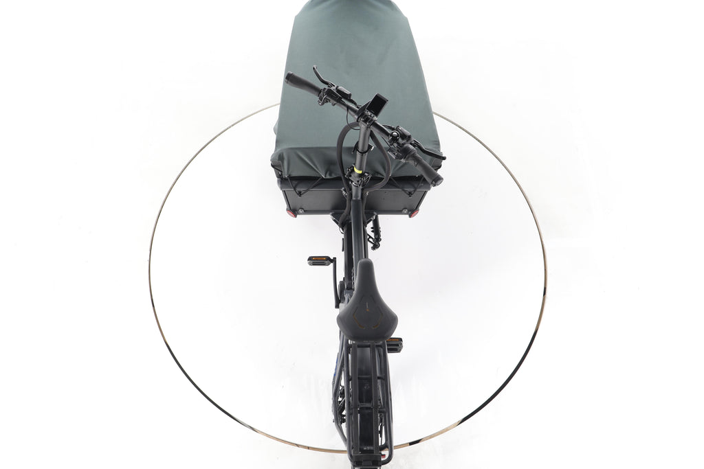 Riese & Müller Load 75 vario E-Lastenrad - Image 22