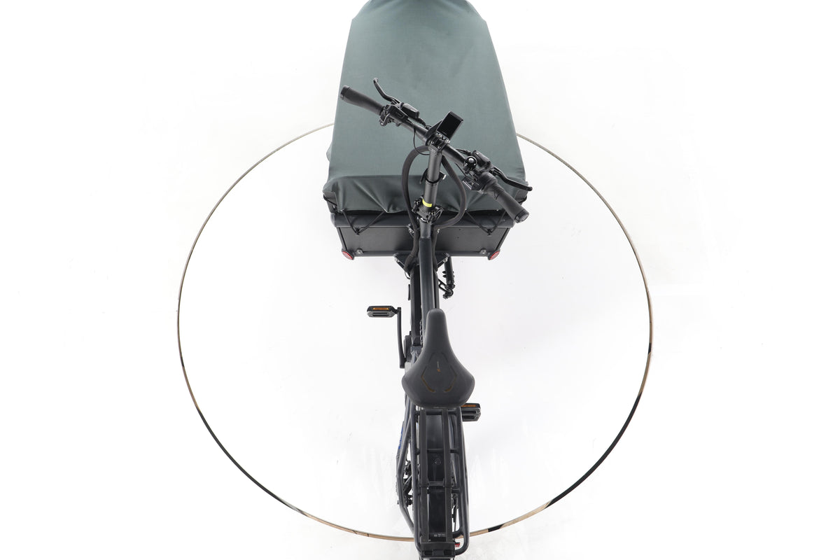 Riese & Müller Load 75 vario E-Lastenrad - Image 22