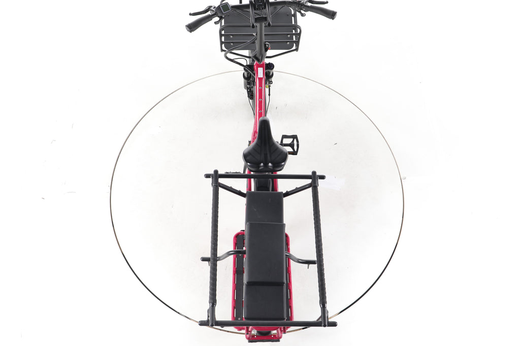 Tern GSD S10 E-Lastenrad - Image 22